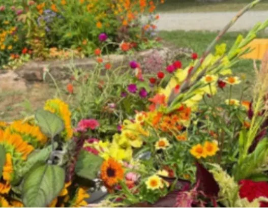 May Morning Meditation WITH KIMBERLY WINTERS