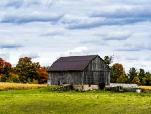 Serenity in the Fields: Gentle Yoga on the Farm