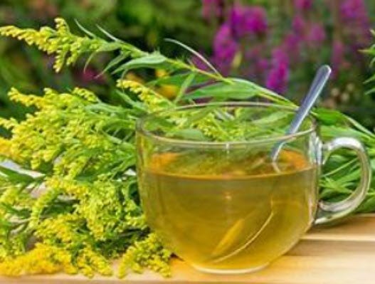 Farm & Garden Tea Social