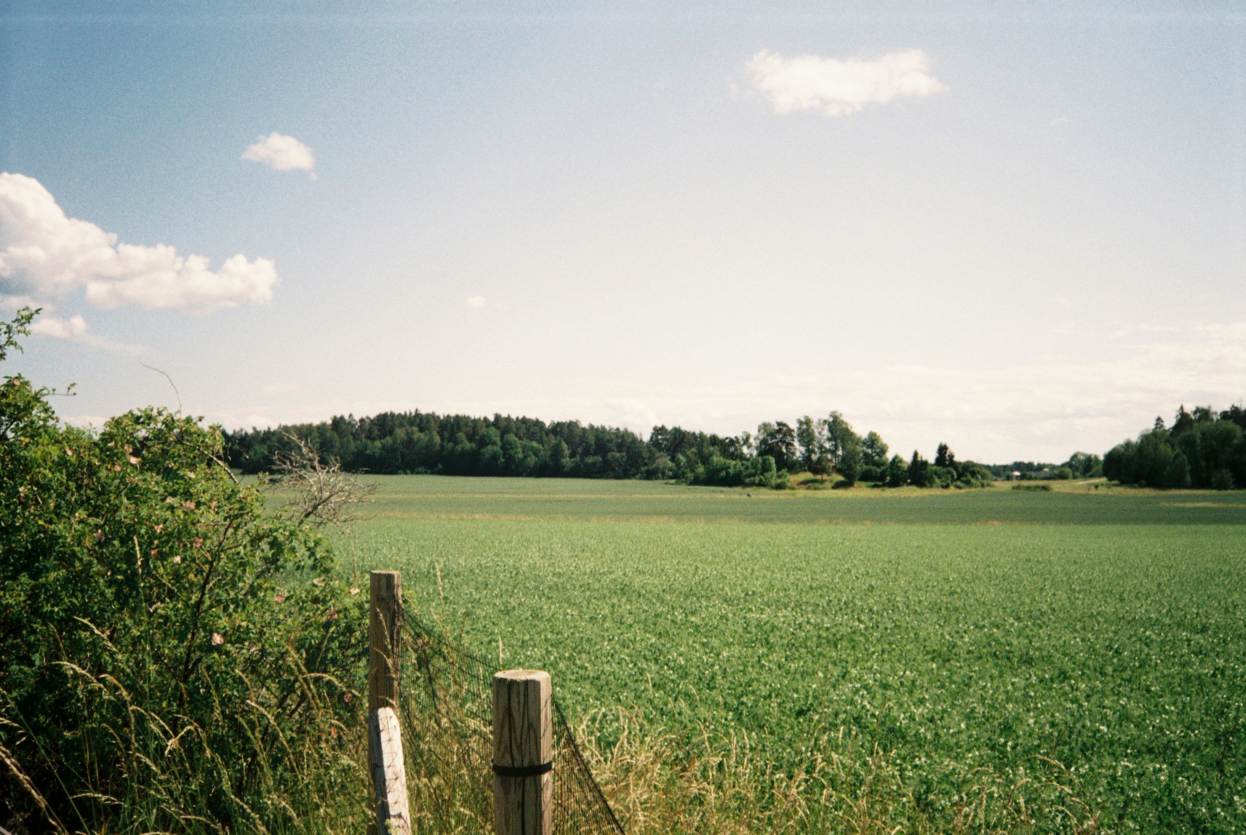 Open Spaces with Wendy Rosen at Ethos Farm to Health Session #6