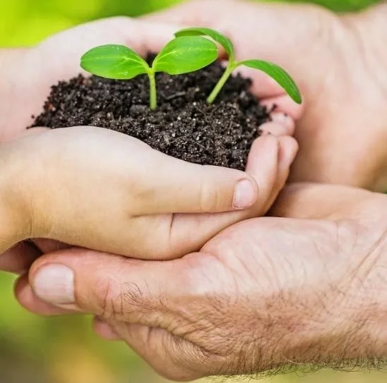 Soil to Health