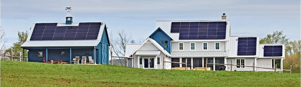 Meet Our Farm Partners: An Exclusive Tour of Cold Brook Farm