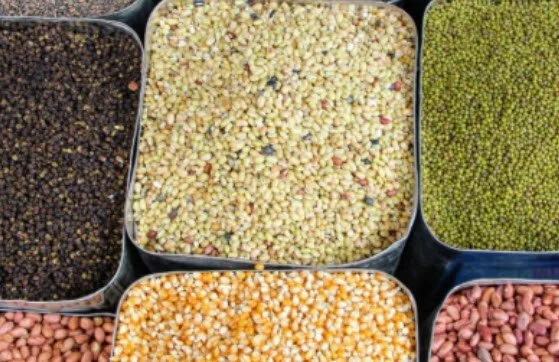 Grains Class with Ann Marie