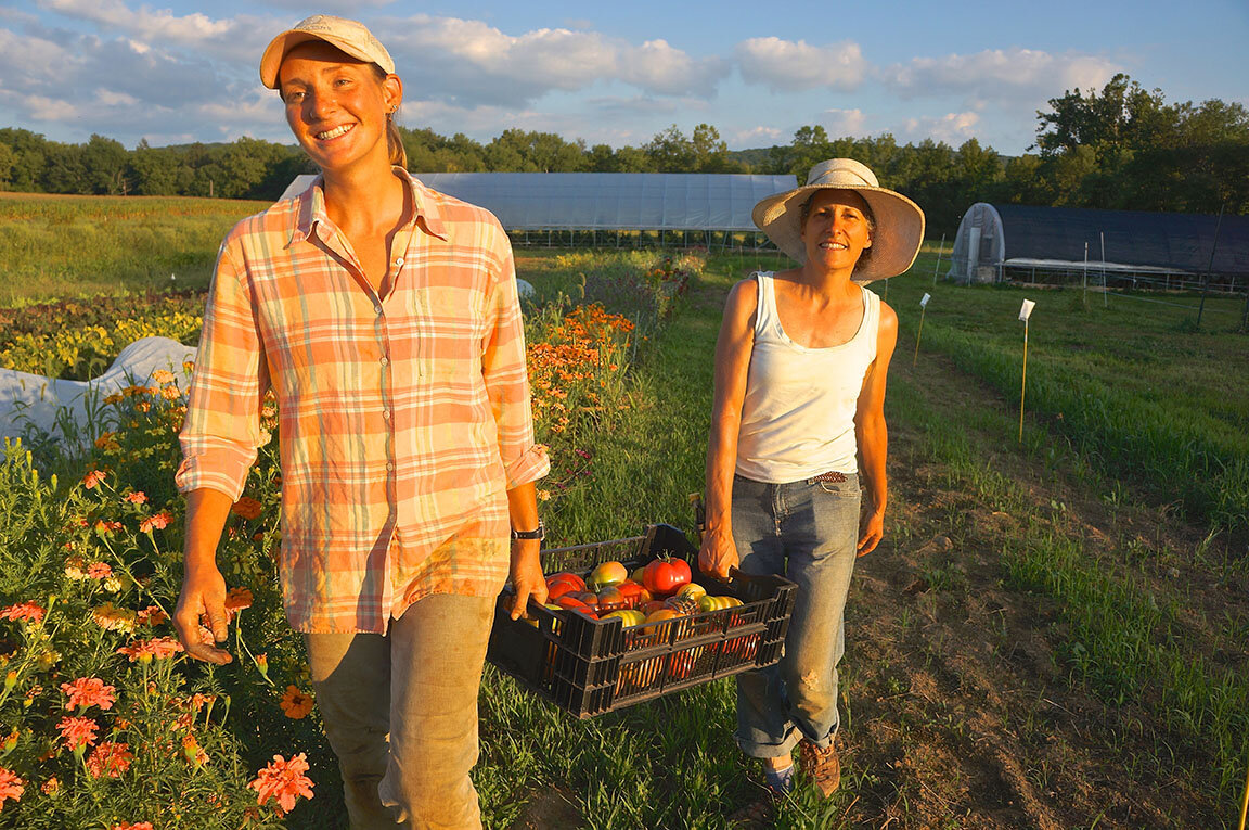 Katie_Nora_carrying_tomatoes_LR.jpg