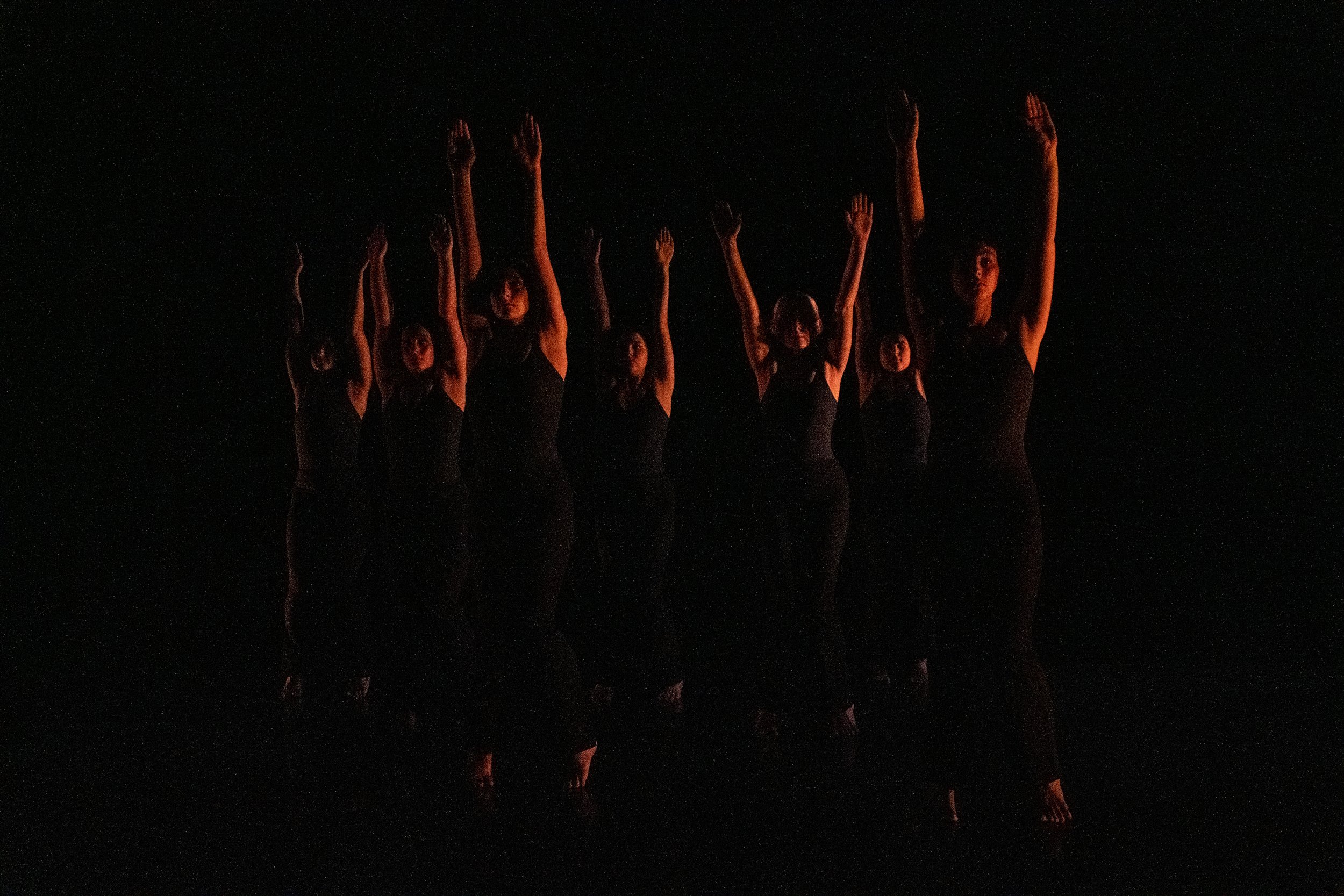 WSU_DecemberDanceConcert-120822-1817.jpg