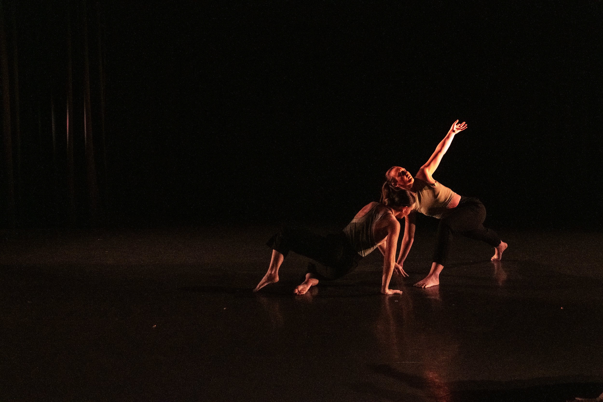 WSU_DecemberDanceConcert-120822-1465.jpg