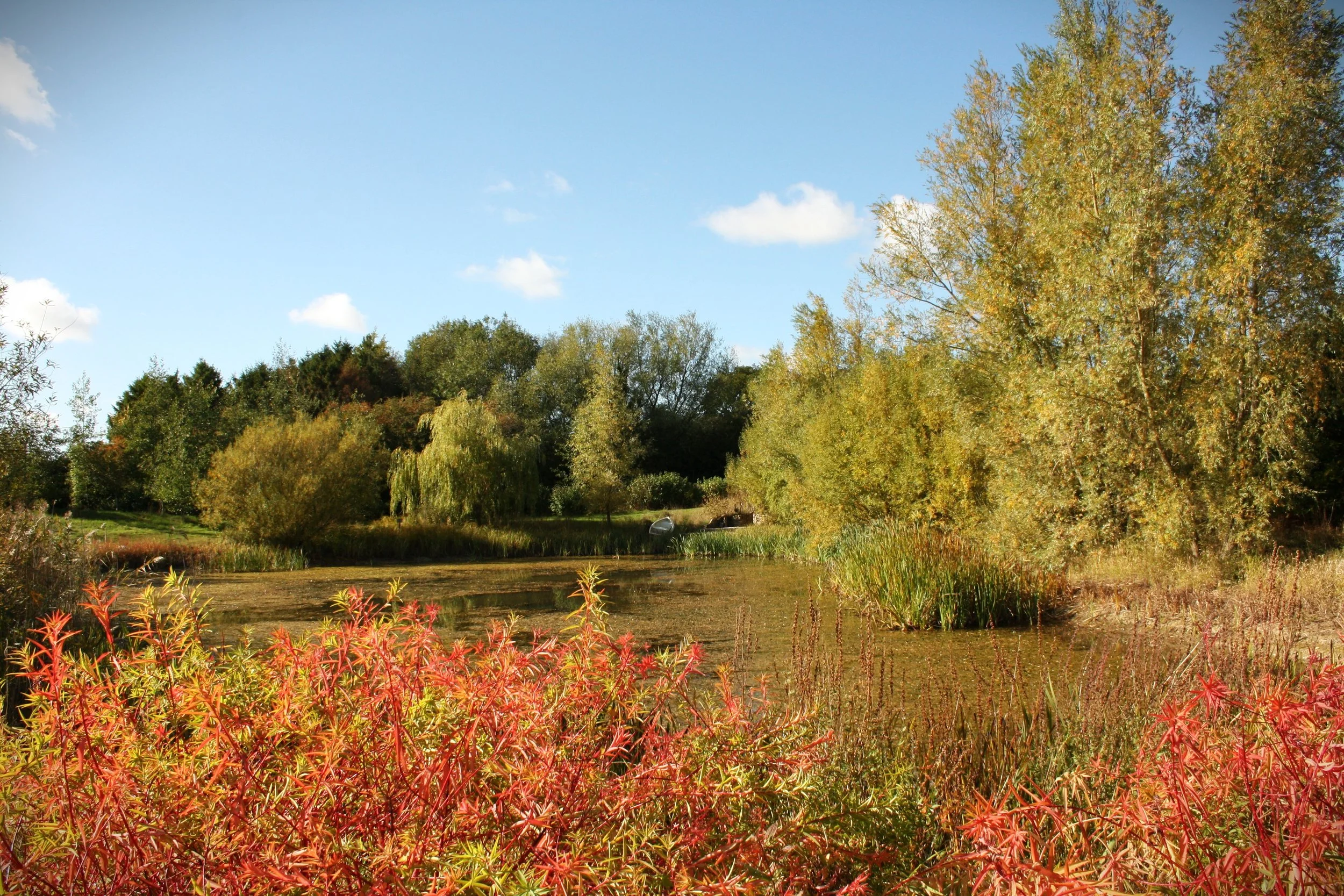 Things to do in Autumn 