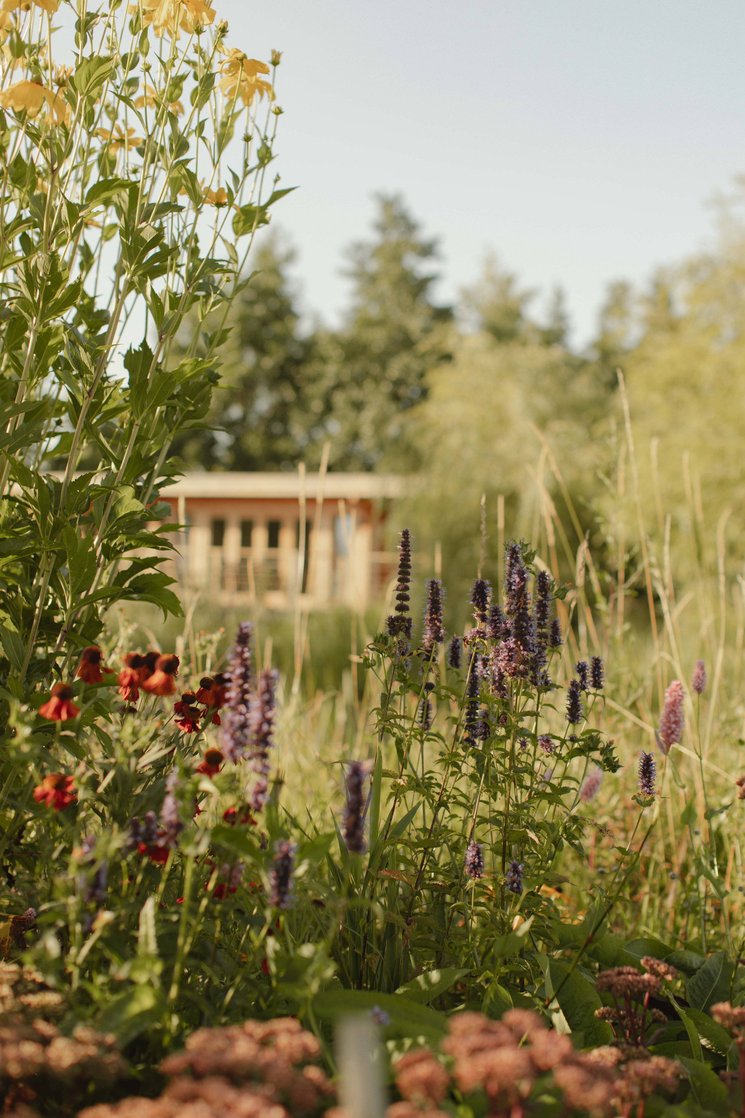 Why a Weekend in Nature at Blyth Rise Stays Is the Perfect Antidote to Busy City Life