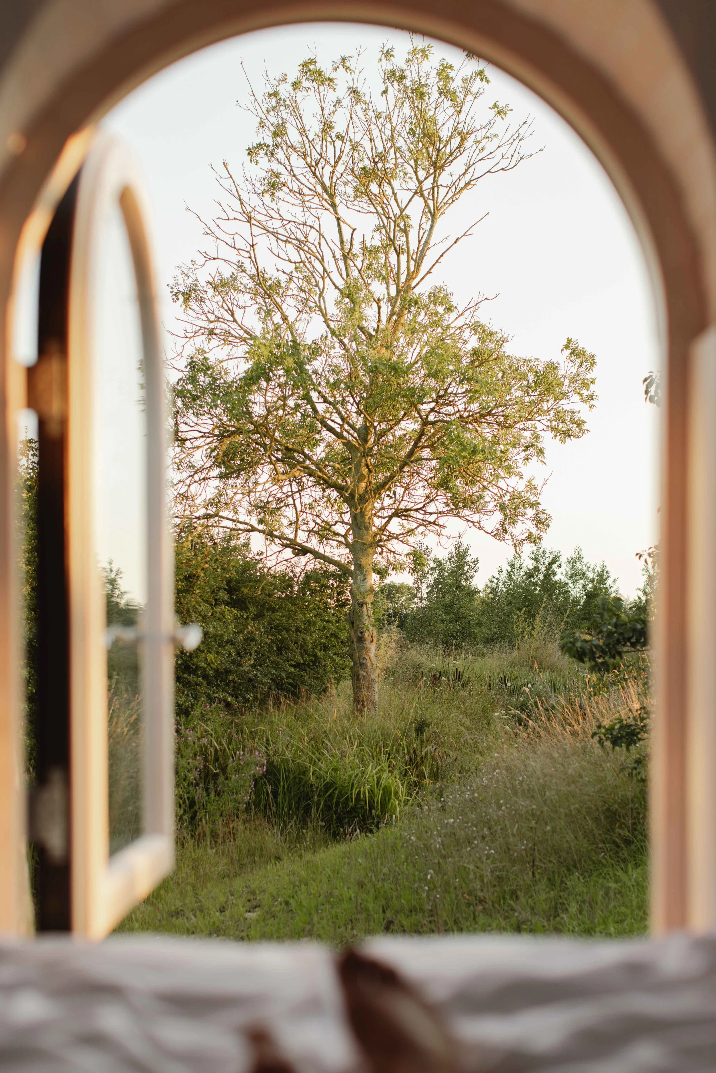 View from bedroom window looking our across the countryside with peace and tranquillity