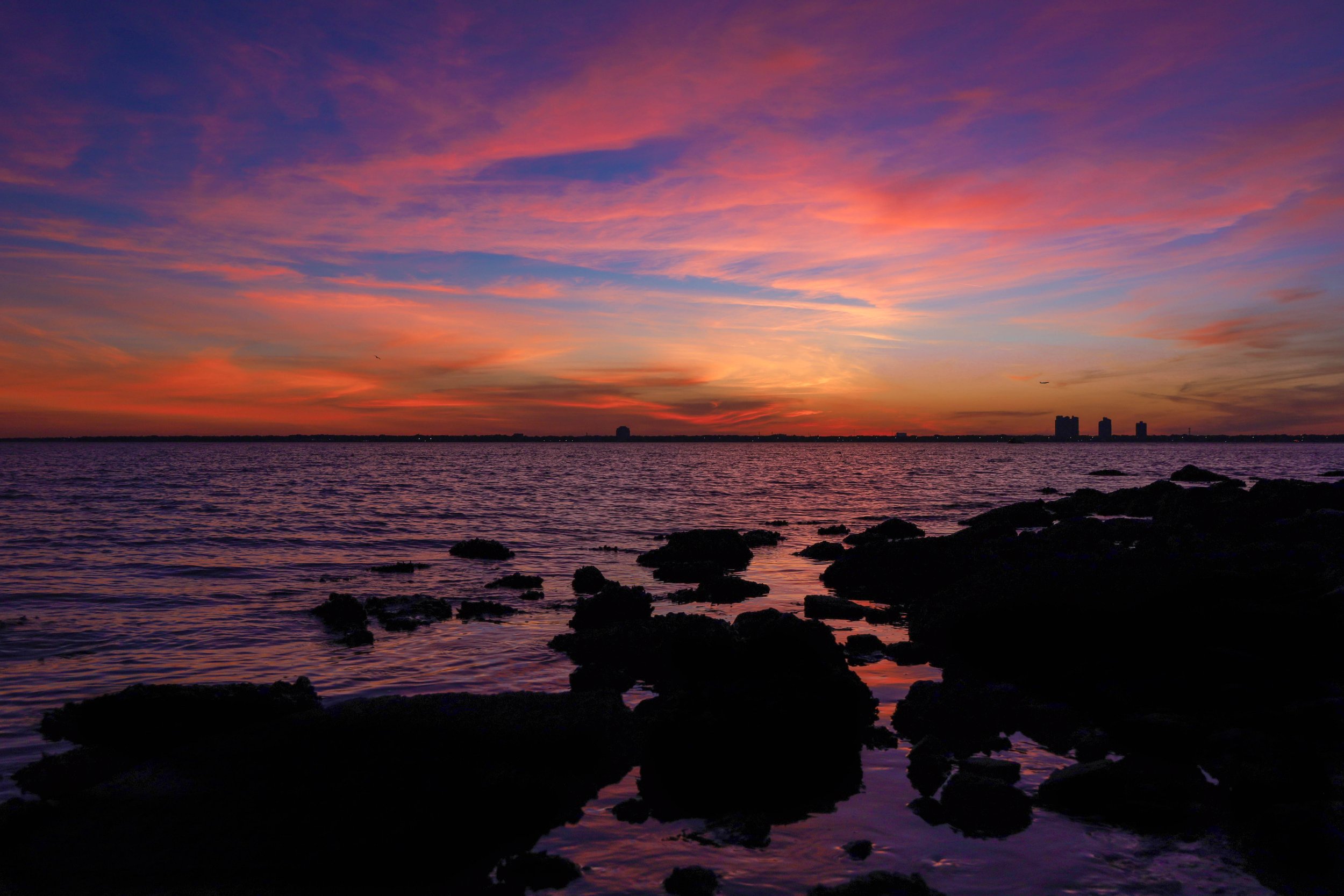 Davis Island Sunset masked.jpg