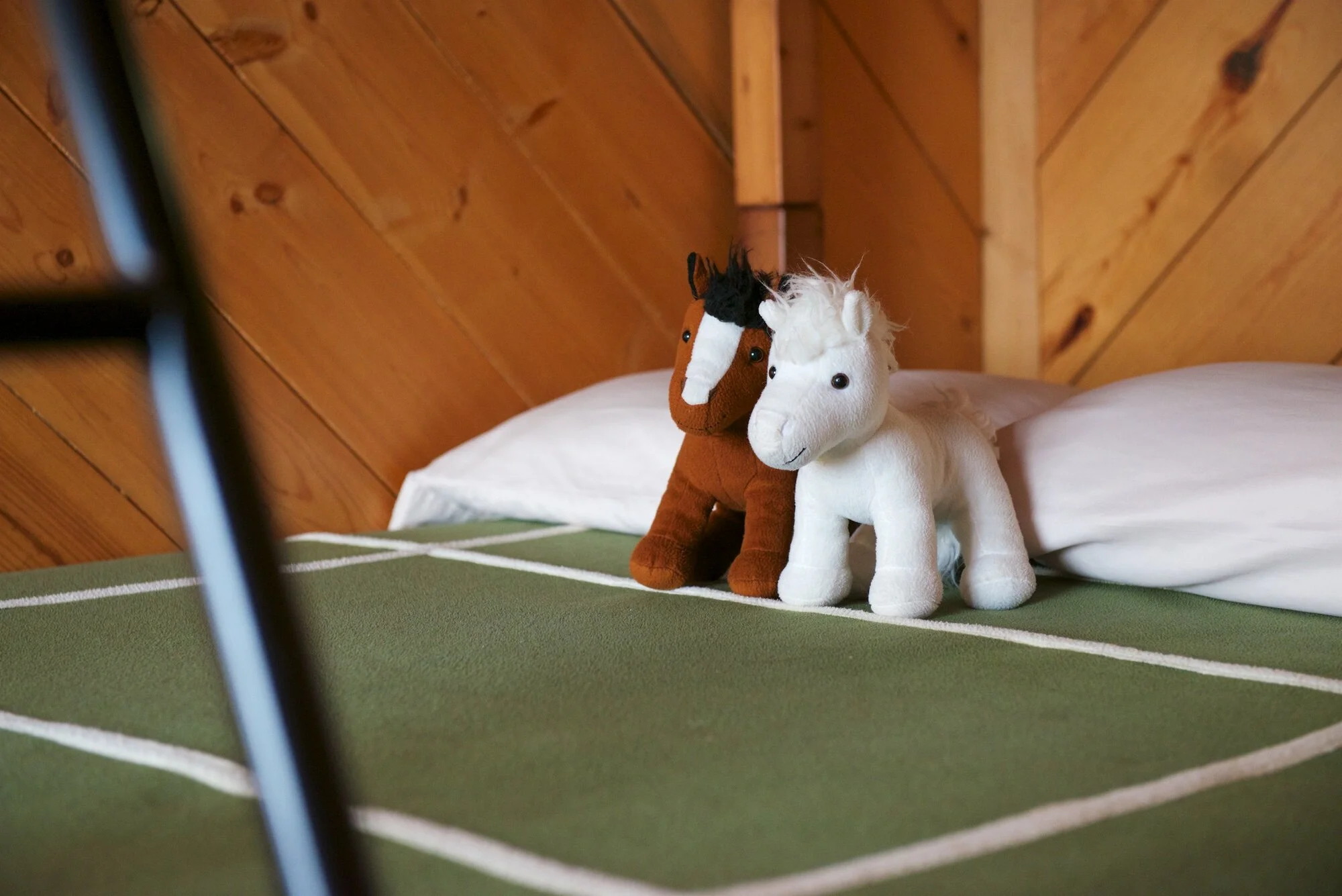 Gallery 2 — Cedar Mountain Farm Bed and Breakfast and RV sites
