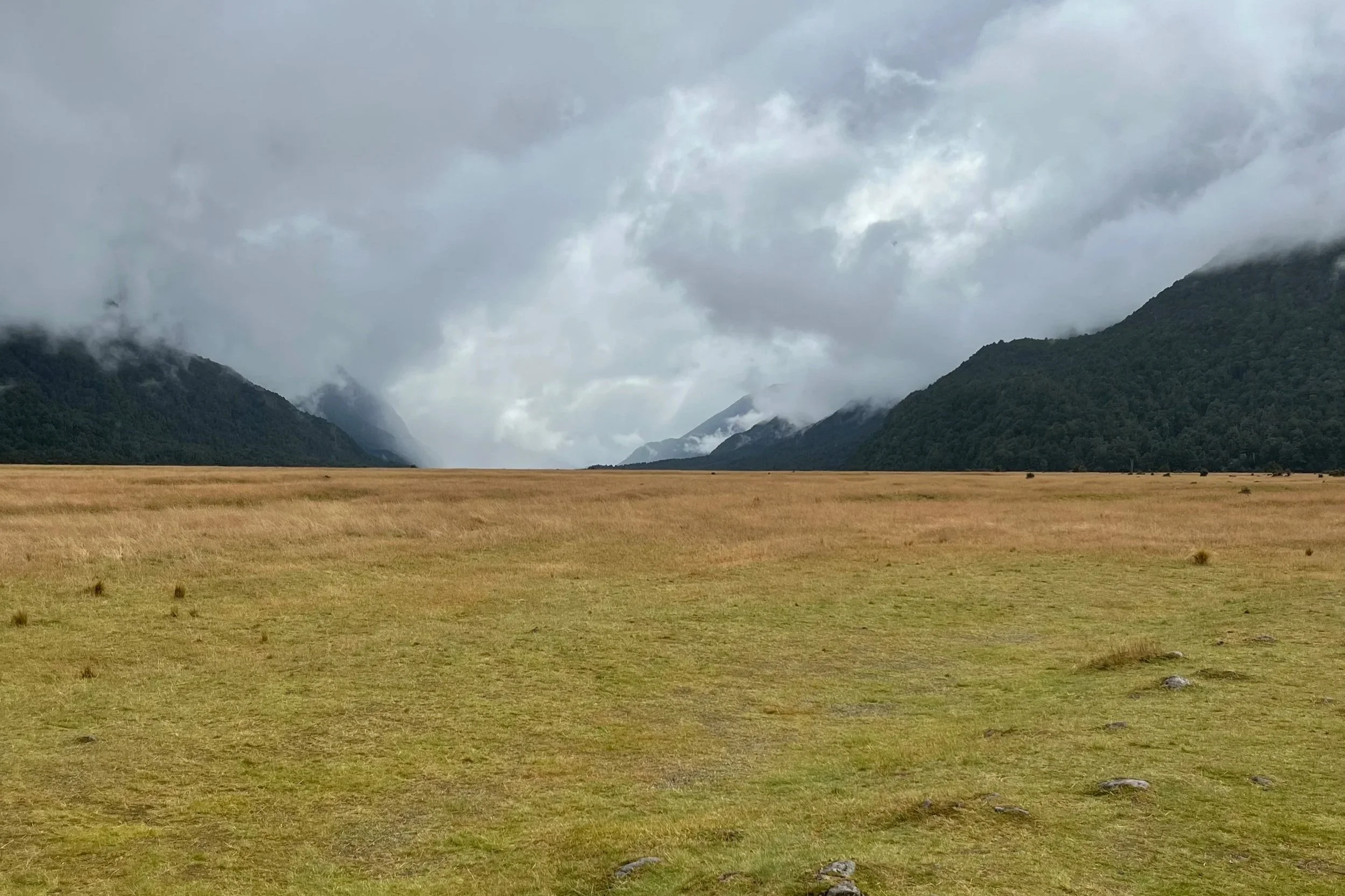 To Gaze Upon&nbsp;the Beauty of the&nbsp;Lord - Psalm 27:4