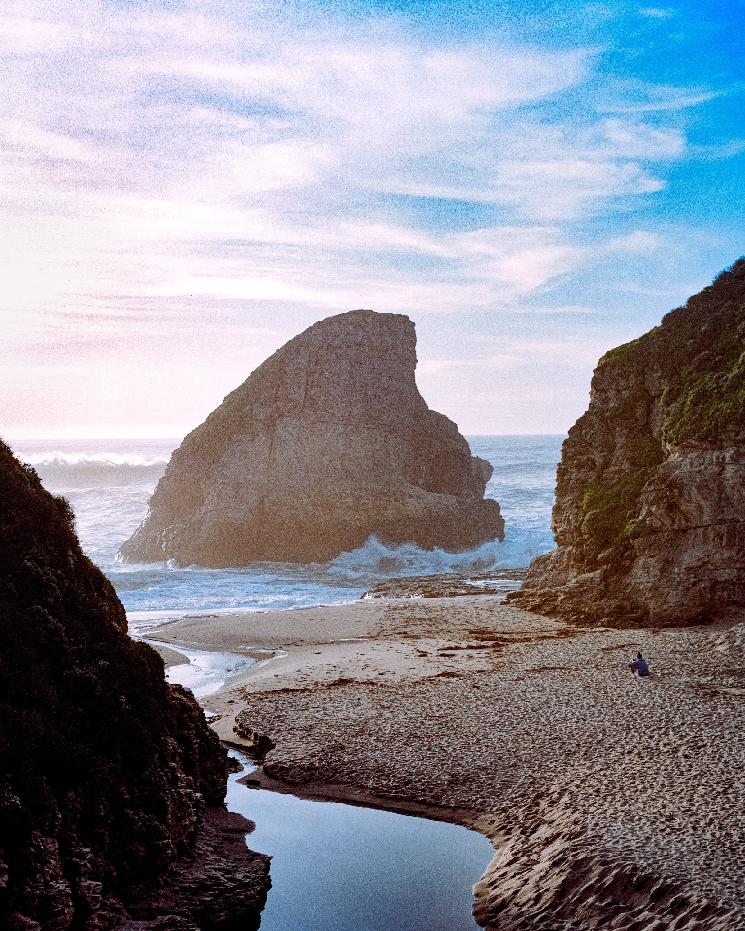Sharks+Fin-2.jpg