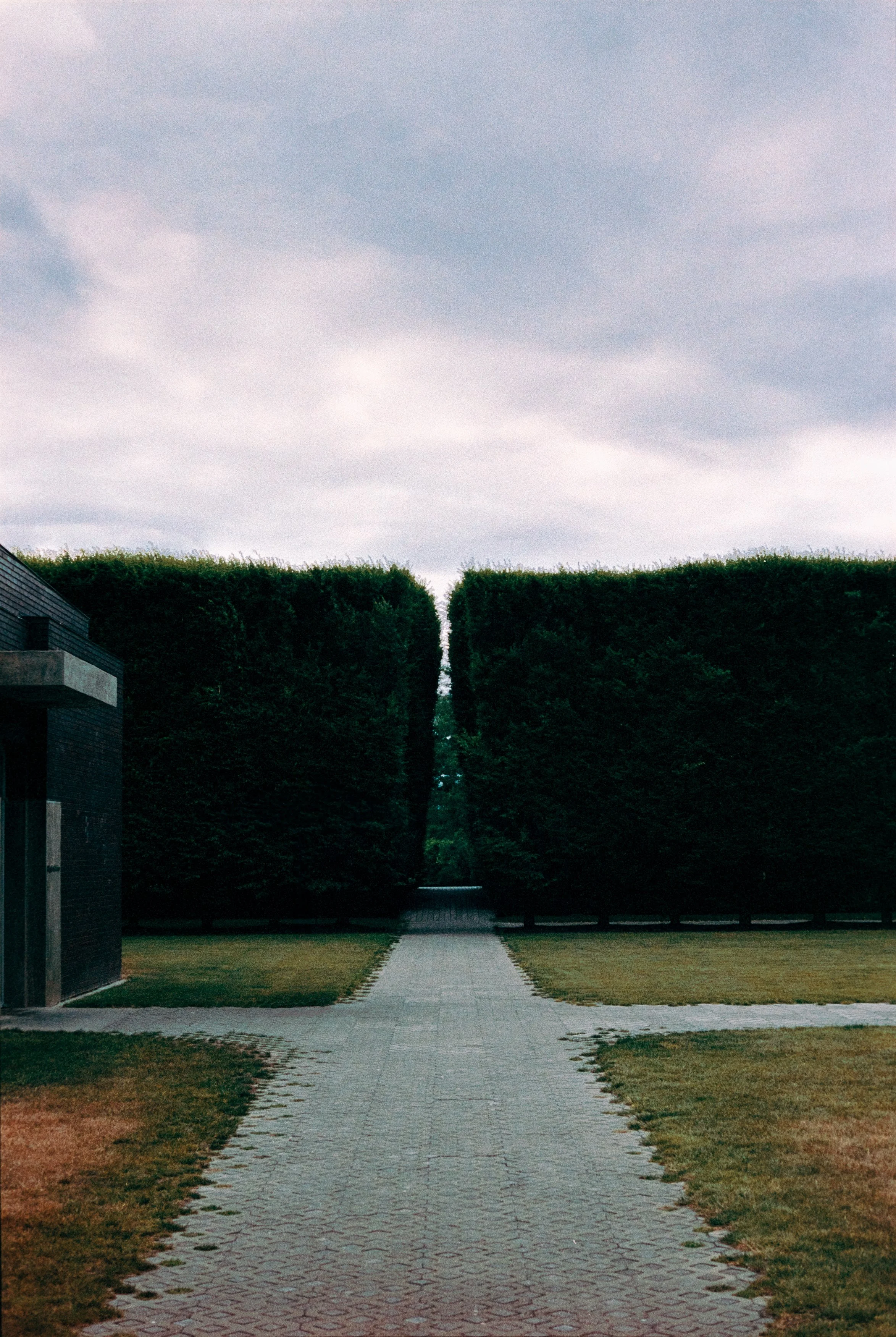 Untitled (2024)