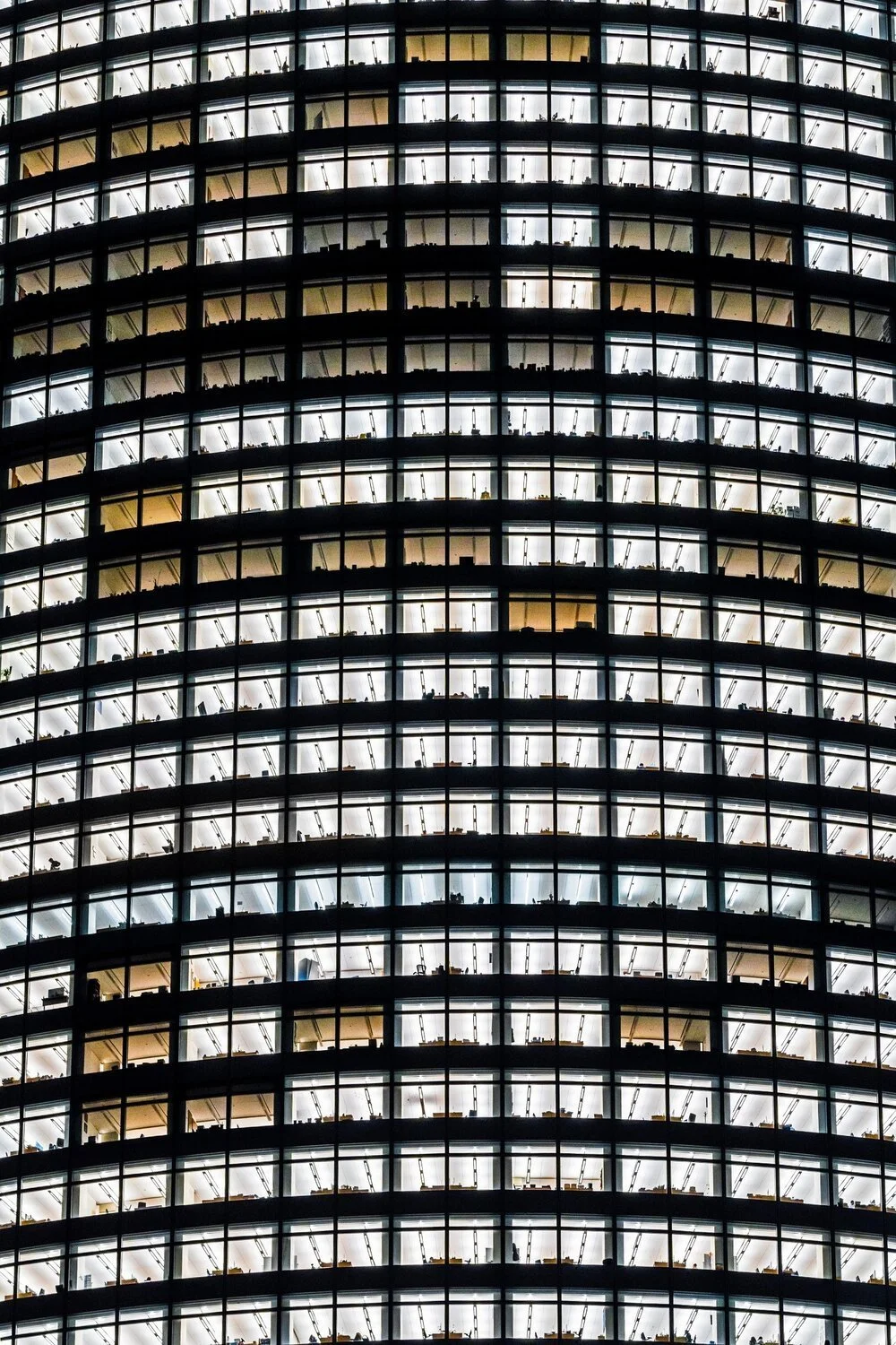 Goldman Sachs. Inkjet print, 16 x 24 in.