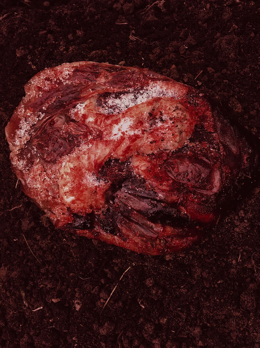 Placenta