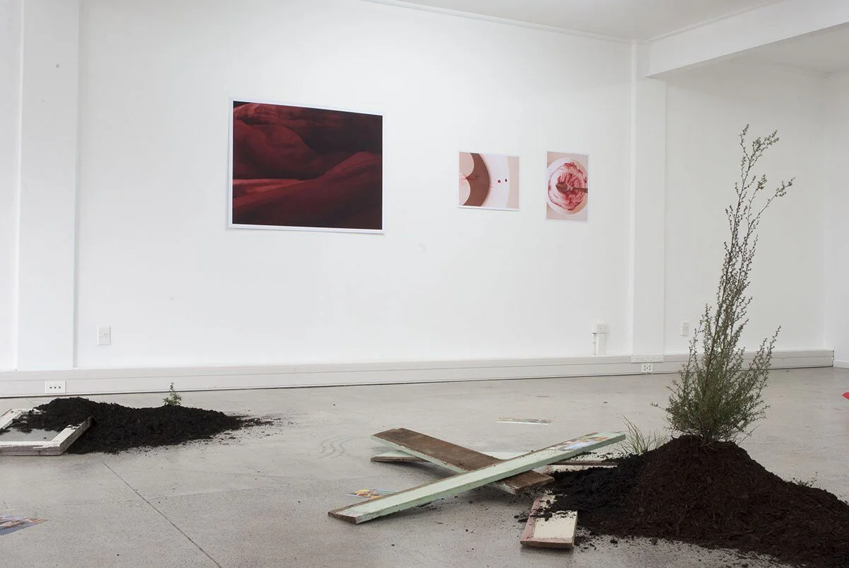 Installation view (in the foreground is the work  Awaiting Paradise,  by Bronte Perry)