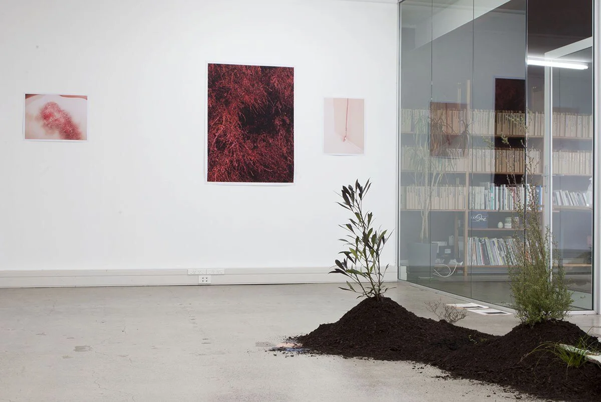 Installation view (in the foreground is the work  Awaiting Paradise,  by Bronte Perry)