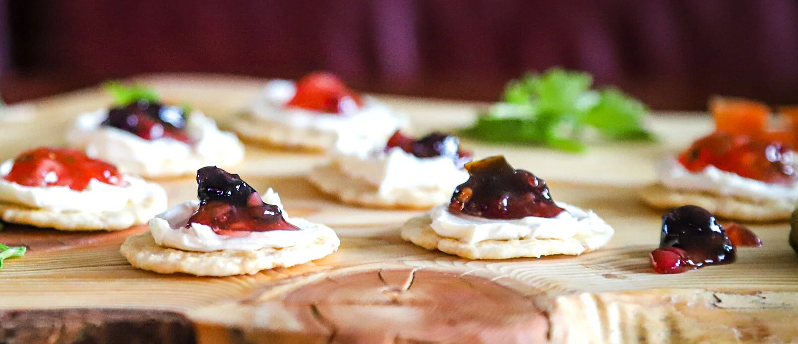 jellies on board copy.jpg