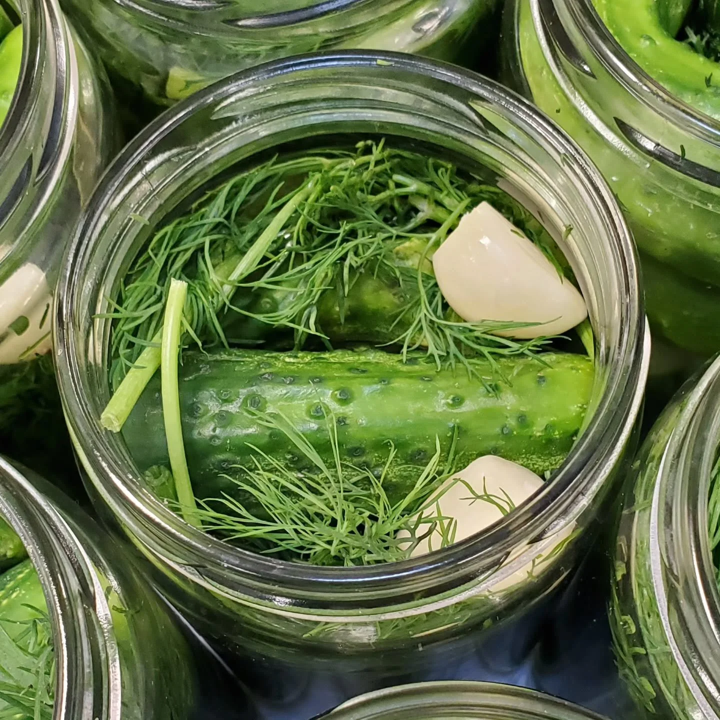 🇨🇦 Happy #FoodDayCanada!
Celebrating local flavour one crunchy bite at a time. These dill pickles are handmade right here on Vancouver Island &mdash; proudly farm-to-jar. 🥒✨

Let&rsquo;s raise a fork to Canadian growers, makers &amp; the good food