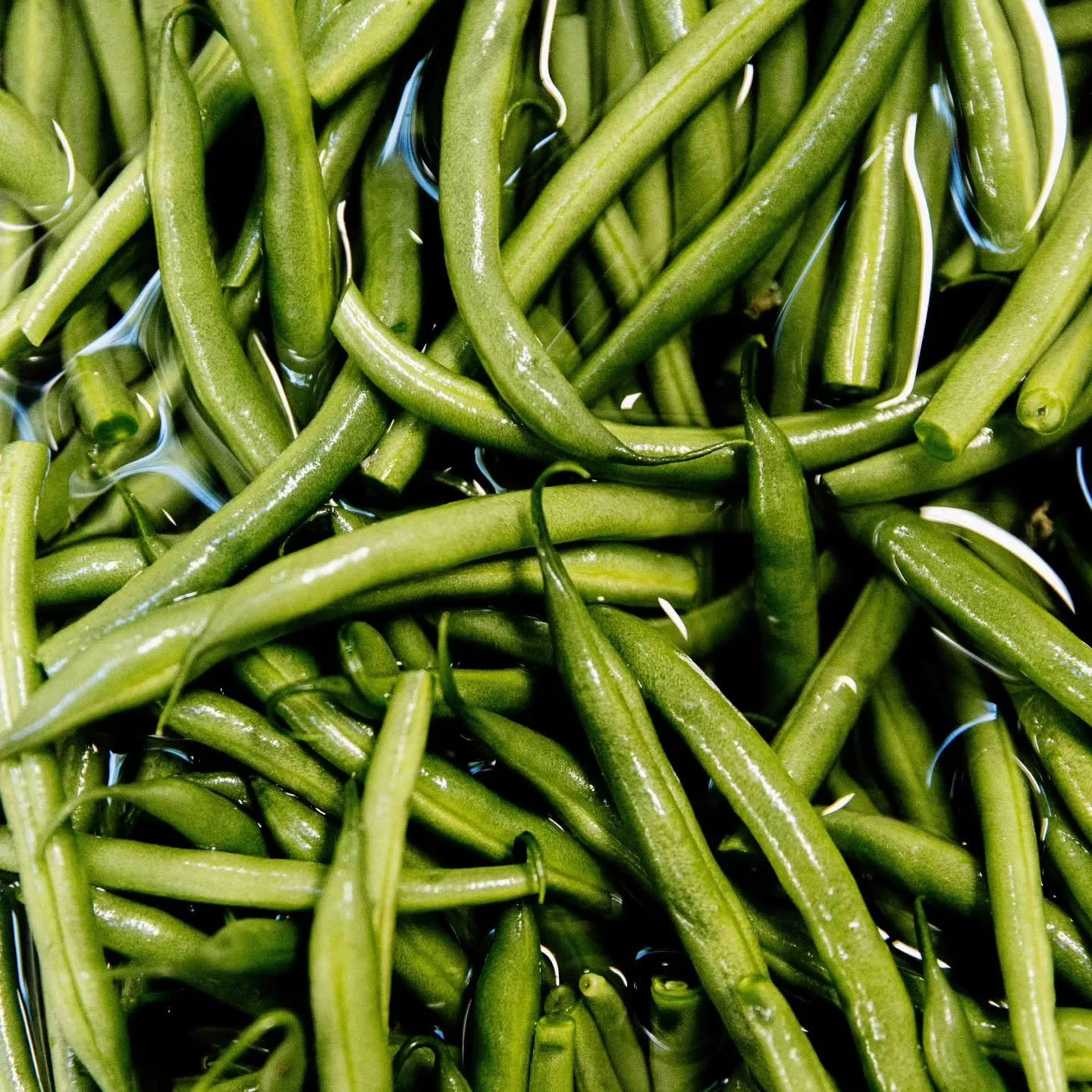Late-season green beans grown just a few kilometers from our kitchen. 
Thank you, @keenusfarm