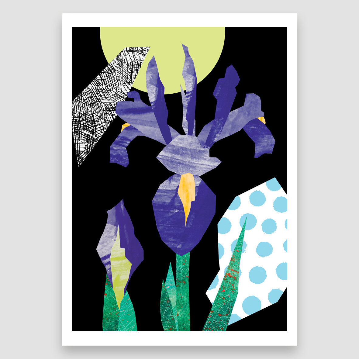 04_IRIS_MONTH IN FLOWERS.jpg