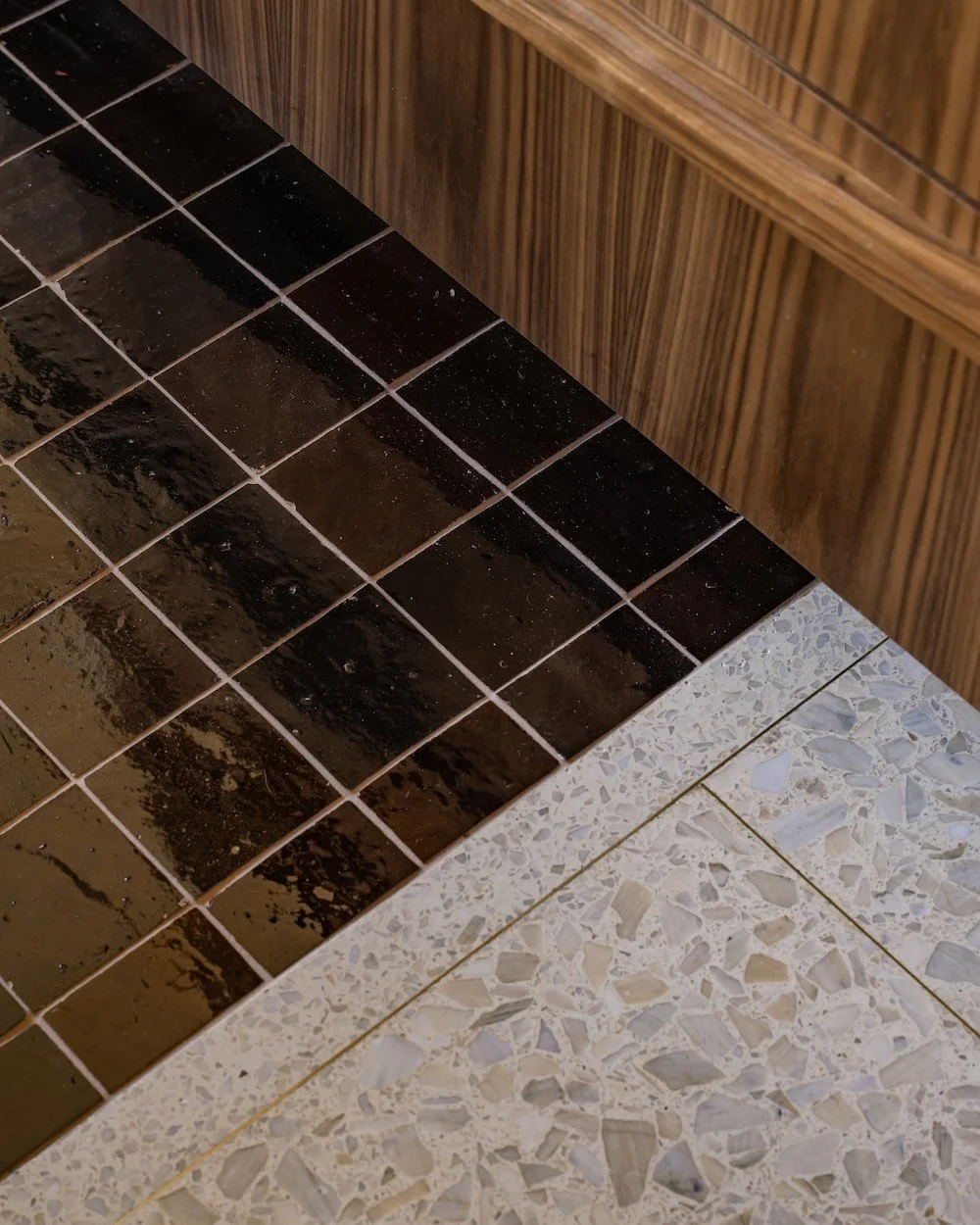 Terrazzo and zellige floor detail.jpg