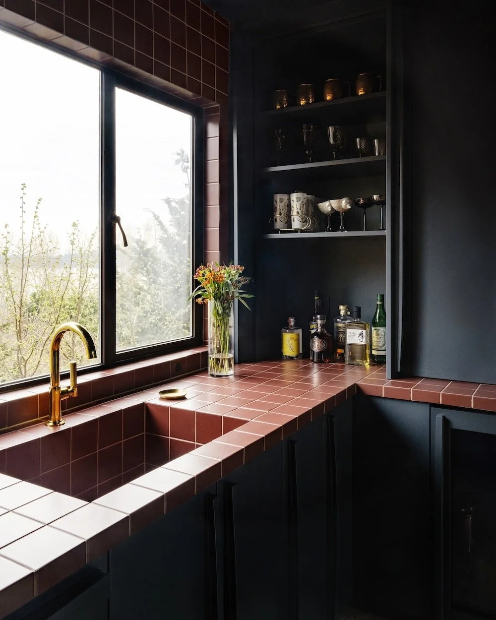 Moody blue and red butlers pantry.jpeg