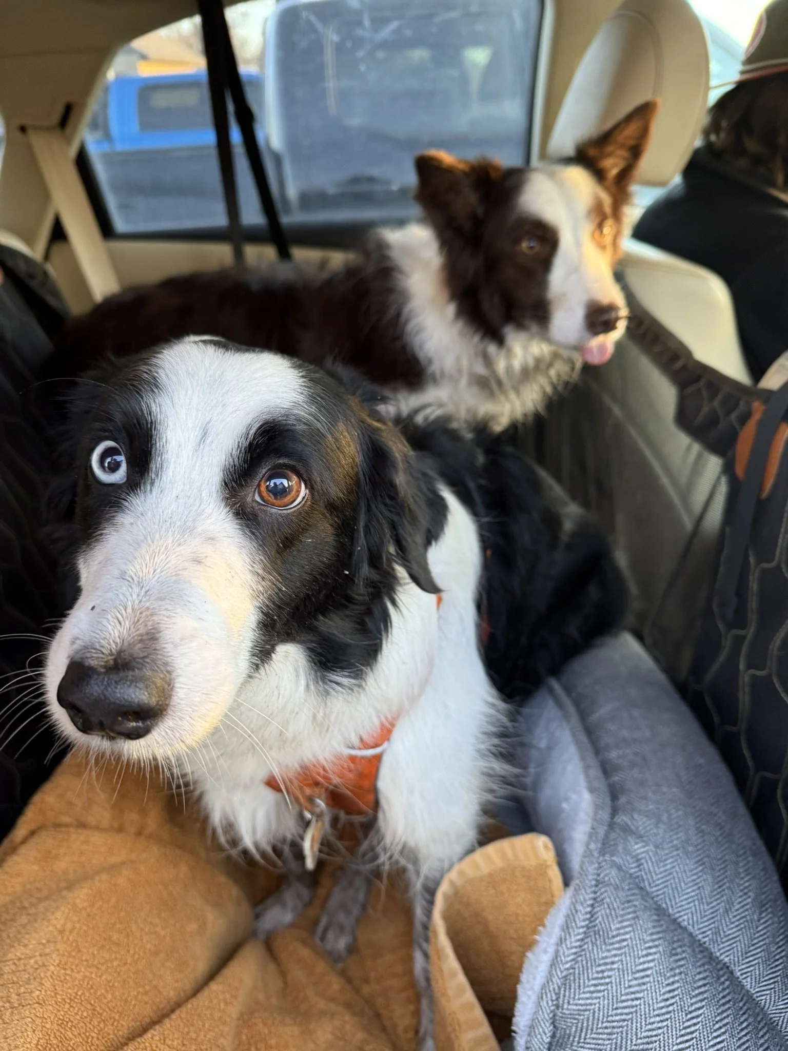 The False Minnesota Spring 🥾🐾