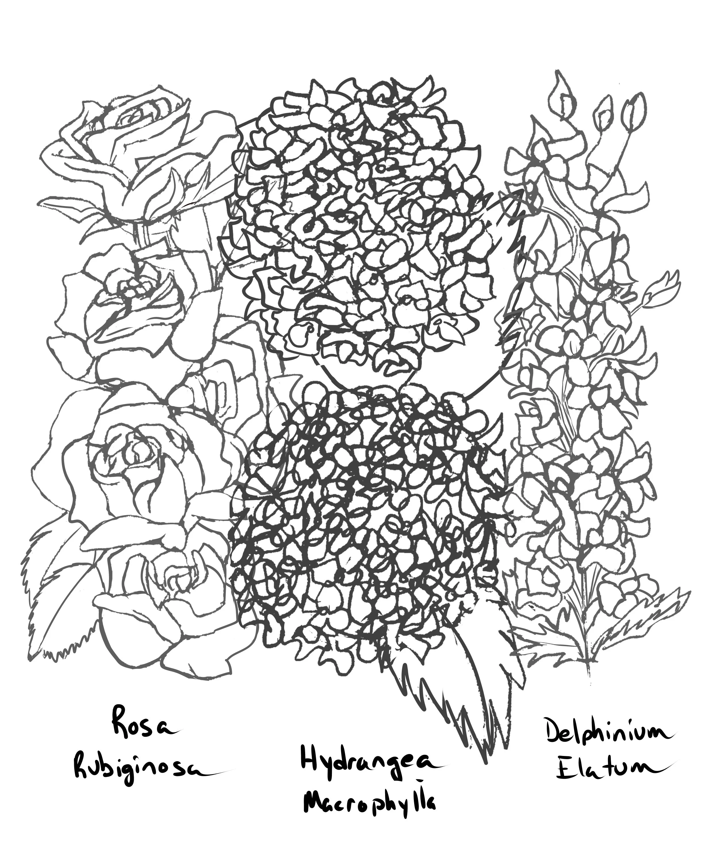 Sketches/Concepts — Alexia Reyes