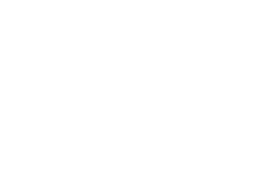 aerie-jansspring-janet-martinez.png