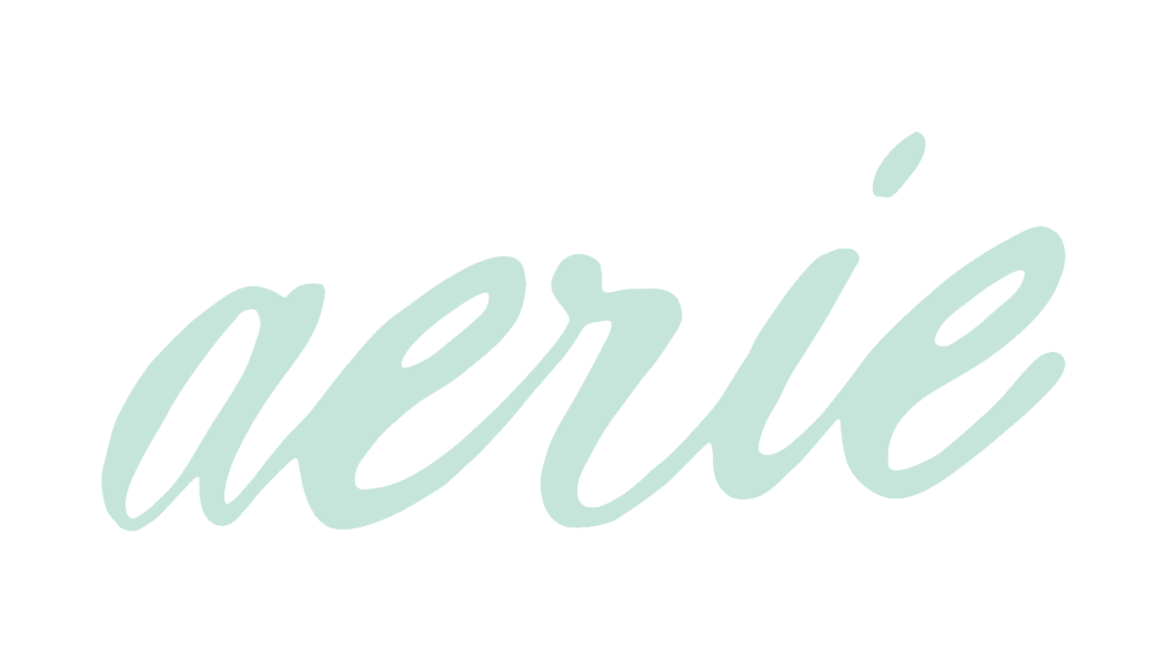 aerie-jansspring-creativestudio-losangeles-brand-partnership.png