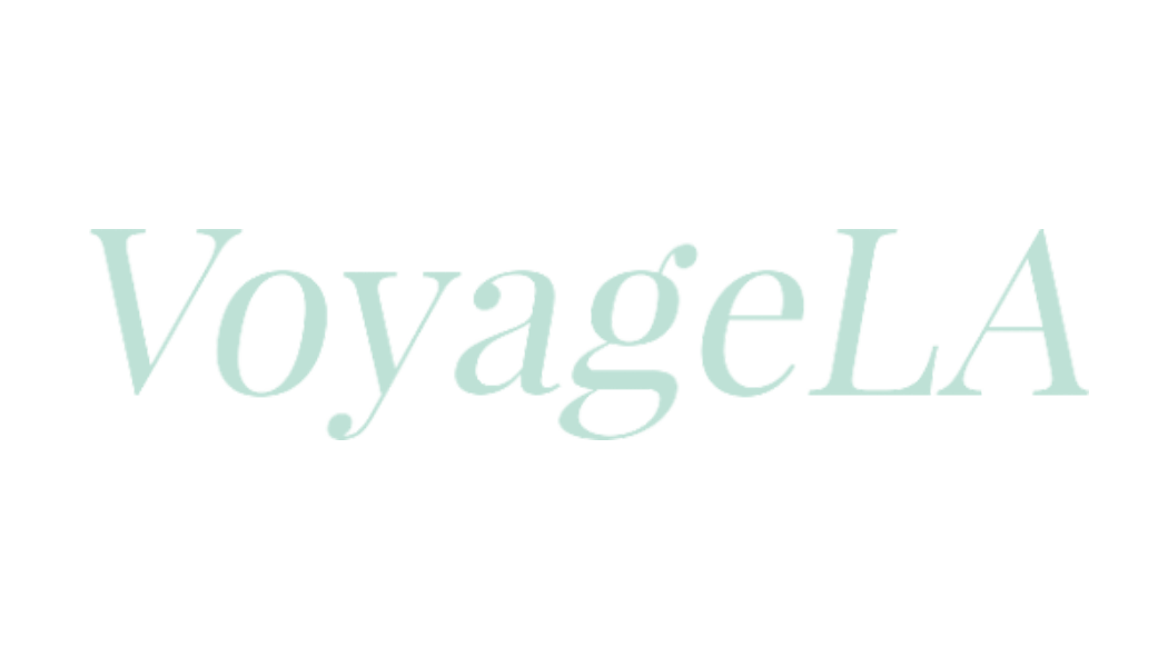 voyagela-jansspring-creativestudio-losangeles-brand-partnership.png