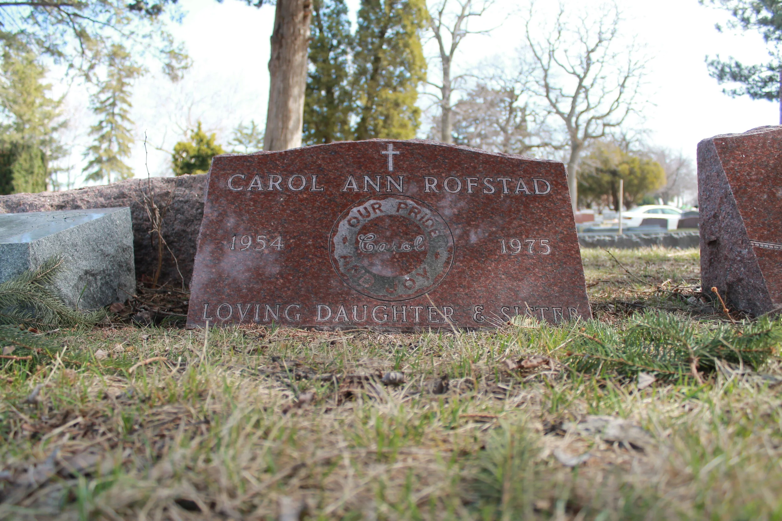 Carol Rofstad — Ally Things Considered
