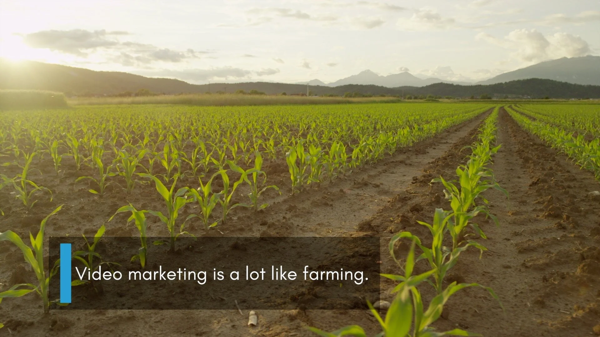 Now is the time for planting, not panicking
