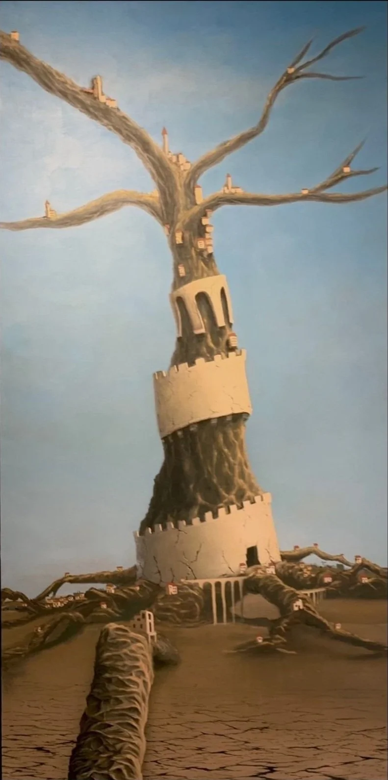 Estratificación Simbiótica