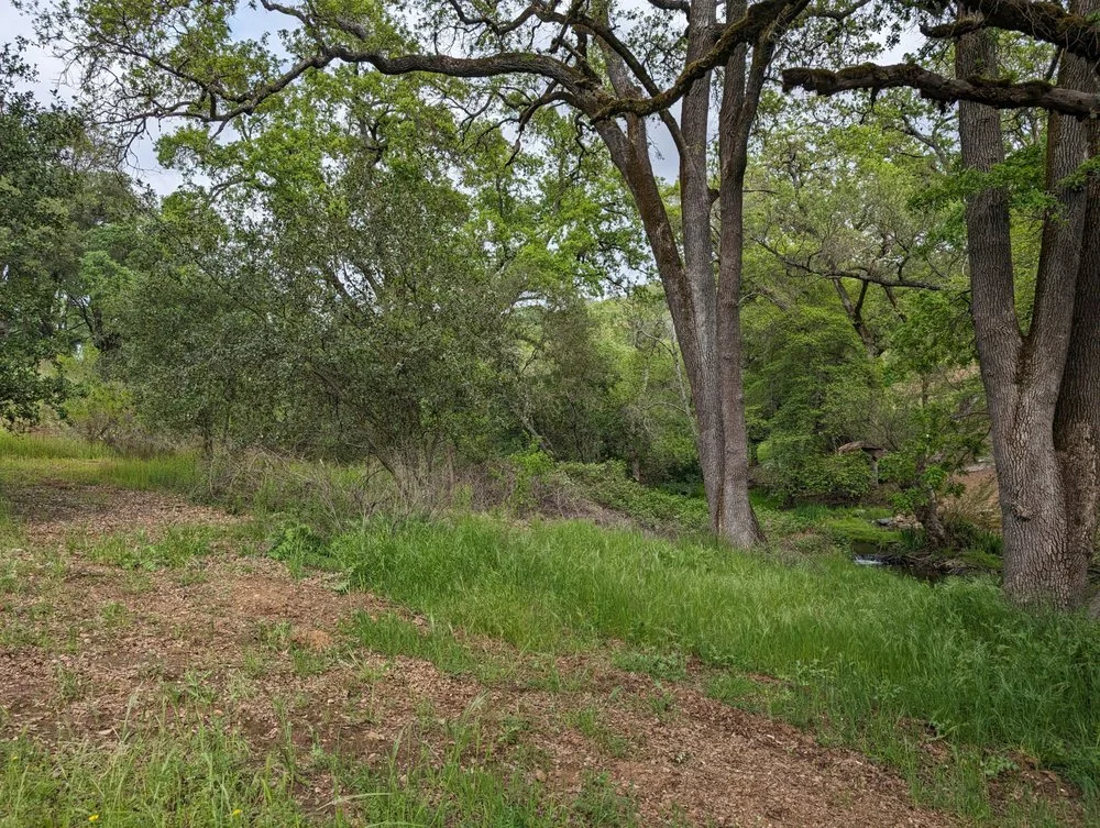 Before Fire Prevention Work 