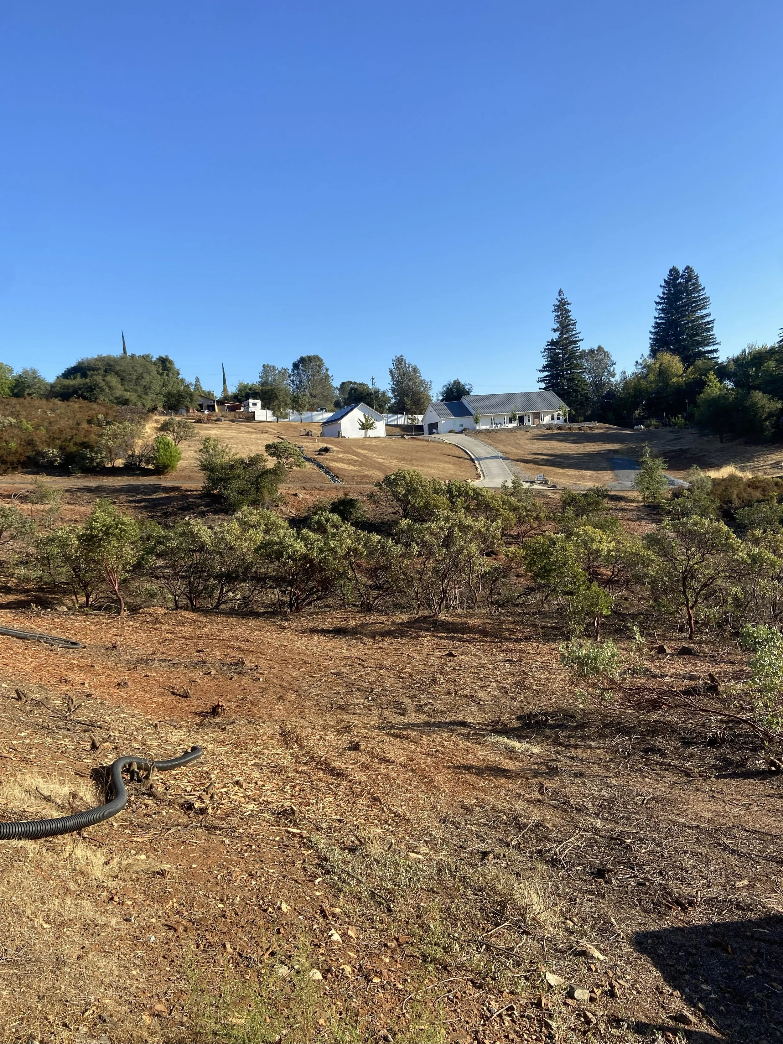 A photo after we're done, we've left the Manzanita, Oaks and Toyon but created a much larger Defensible Space around the home