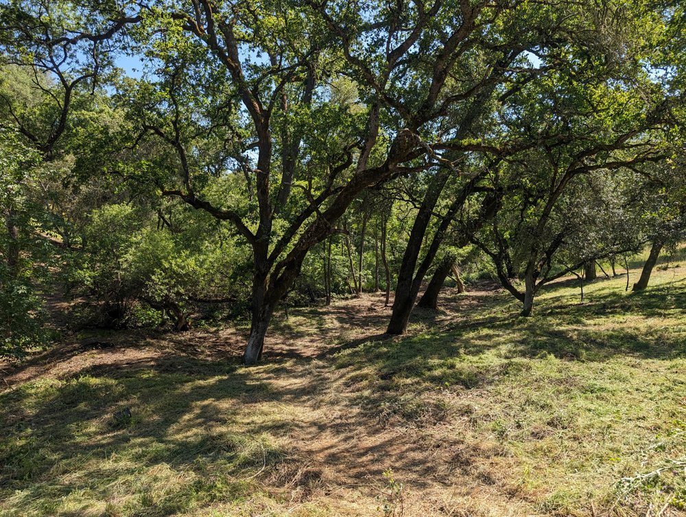 after ground cleared on this creek in El Dorado County