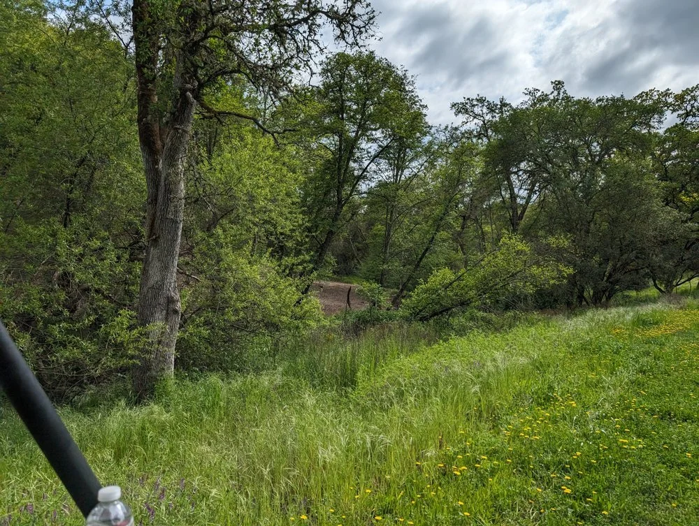 Before creating defensible space