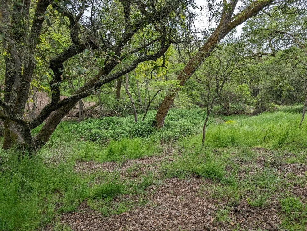 Before Work Commenced