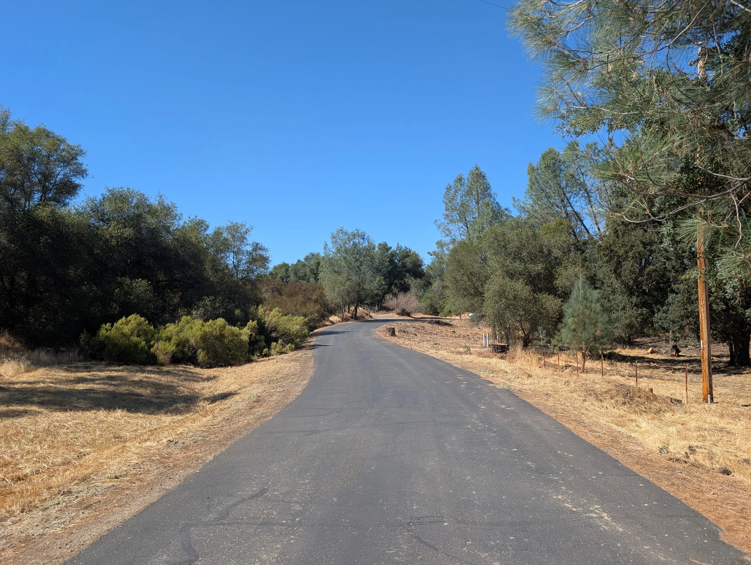 Plymouth Tree Removal and Property Clean Up