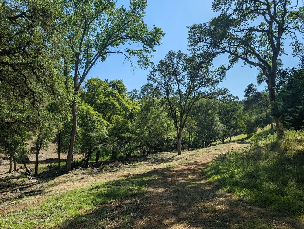 Property is now more wildfire ready