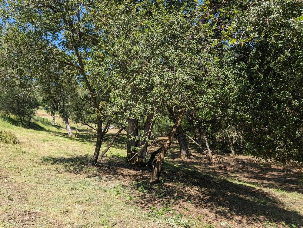 West of Placerville California