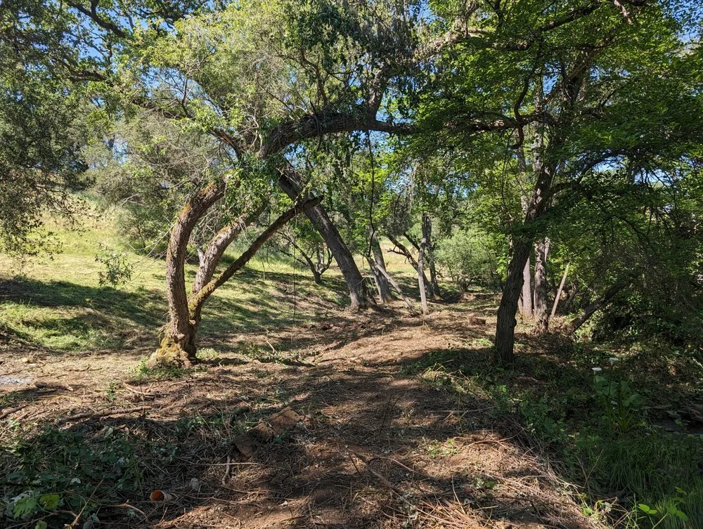 Serving California's Gold Country