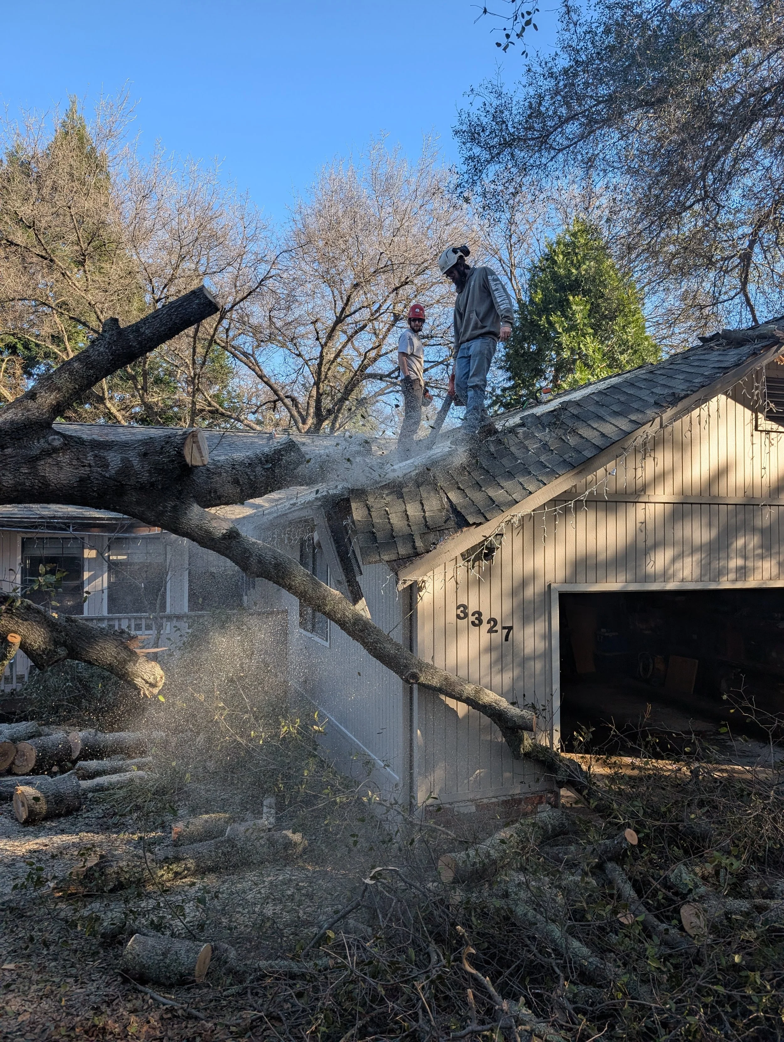 The Oak is entirely off the roof at this point