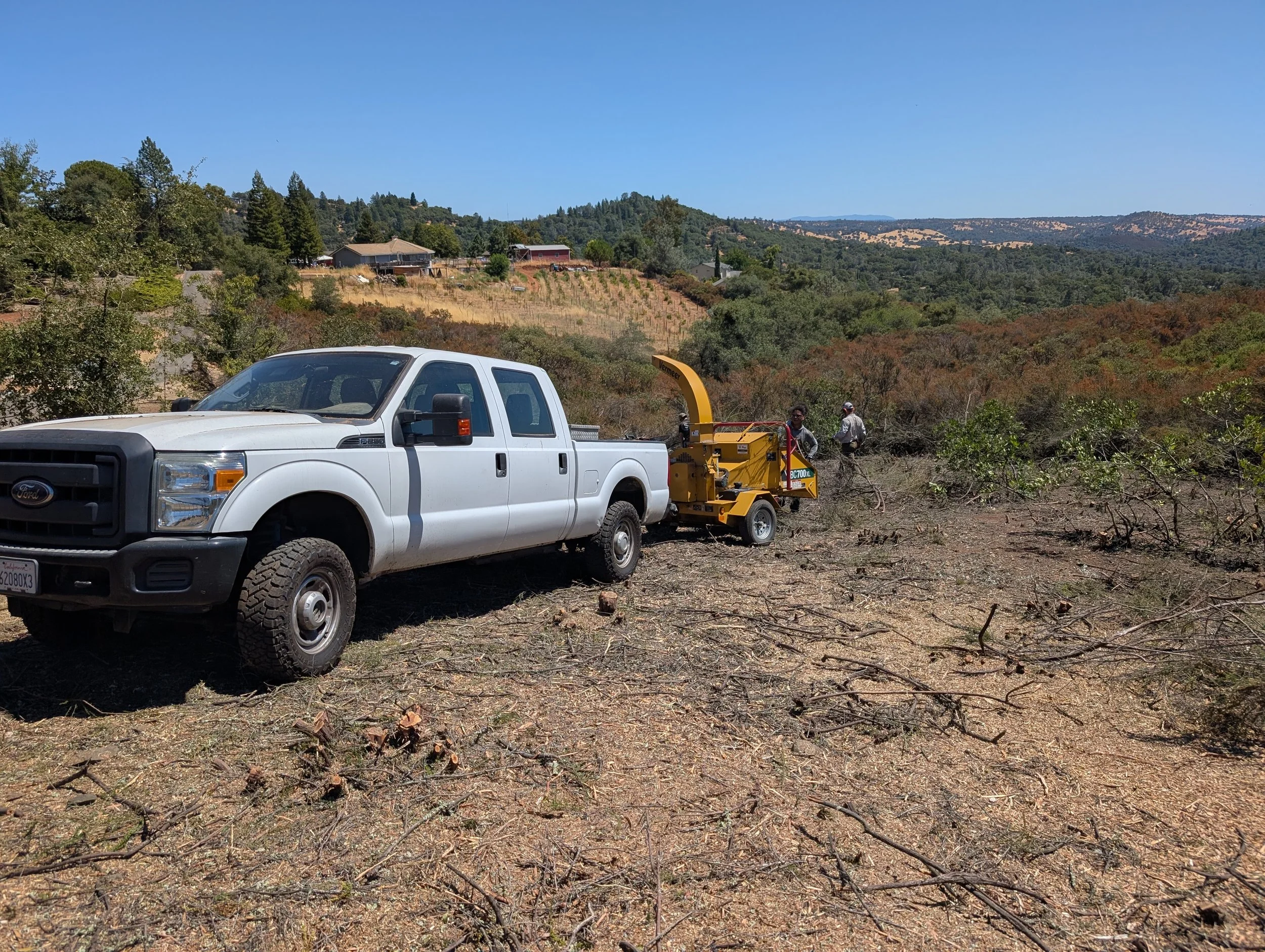 Another Progress photo, much of the brush has already been cleared at this point.