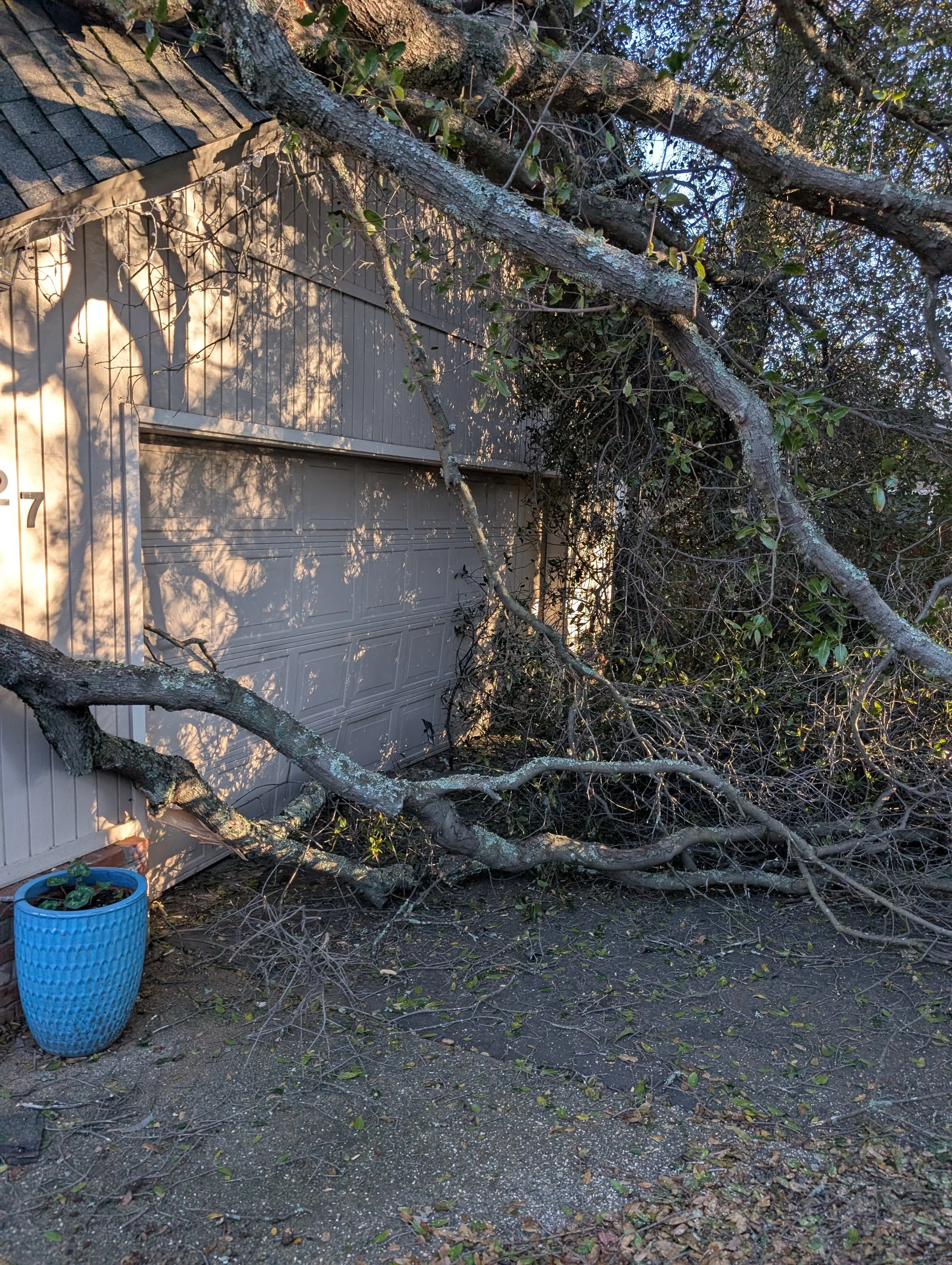 The fallen tree blocked the homeowner's car in their garage. 