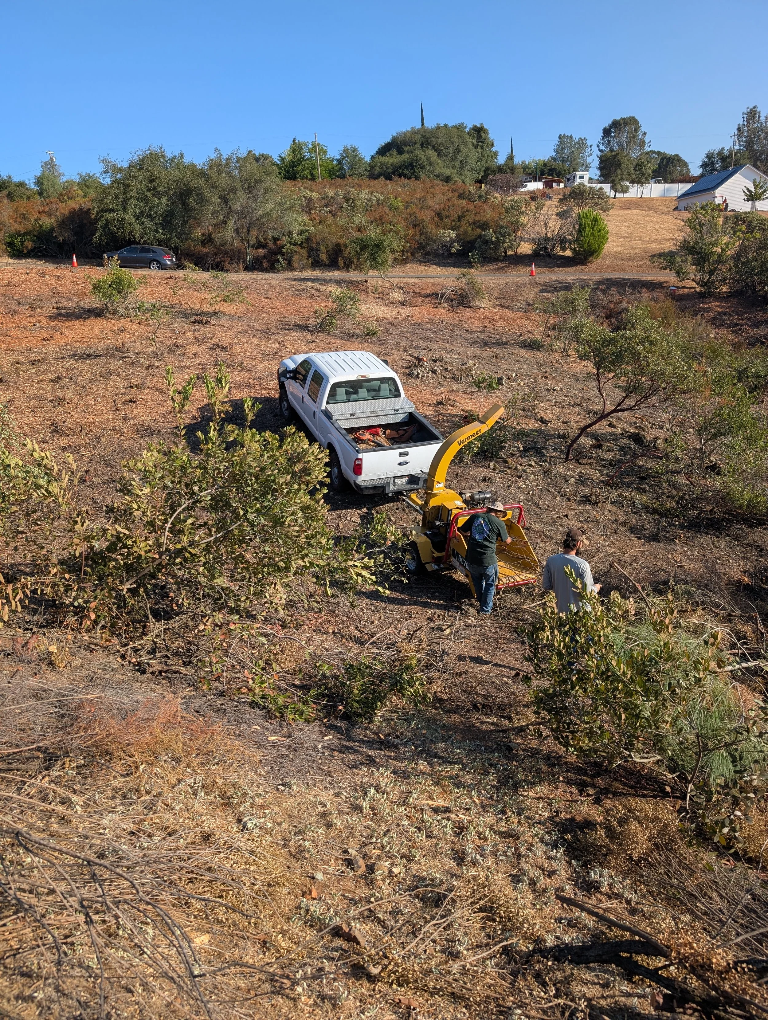 Dense Brush Clearing