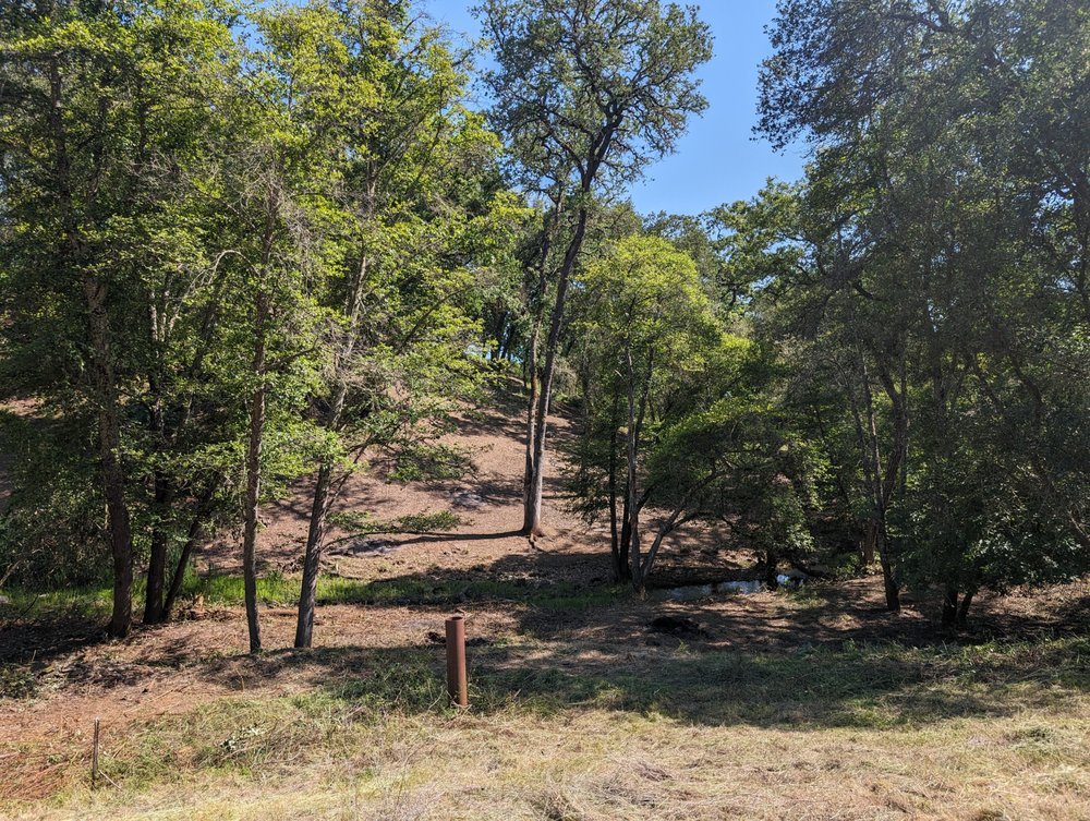 After grass has been cut and blackberries cut and burned